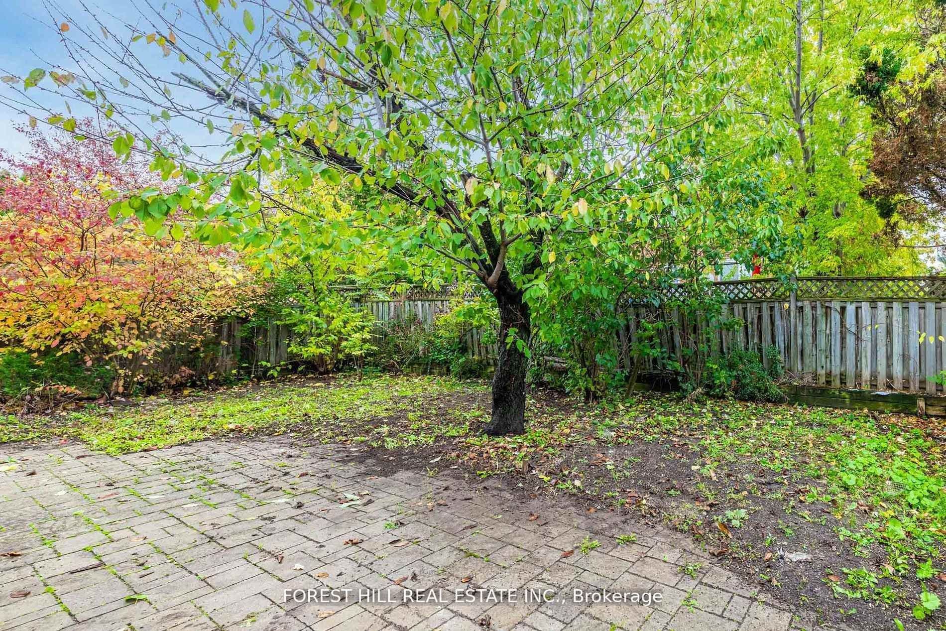 51 Briggs Avenue — photo 30