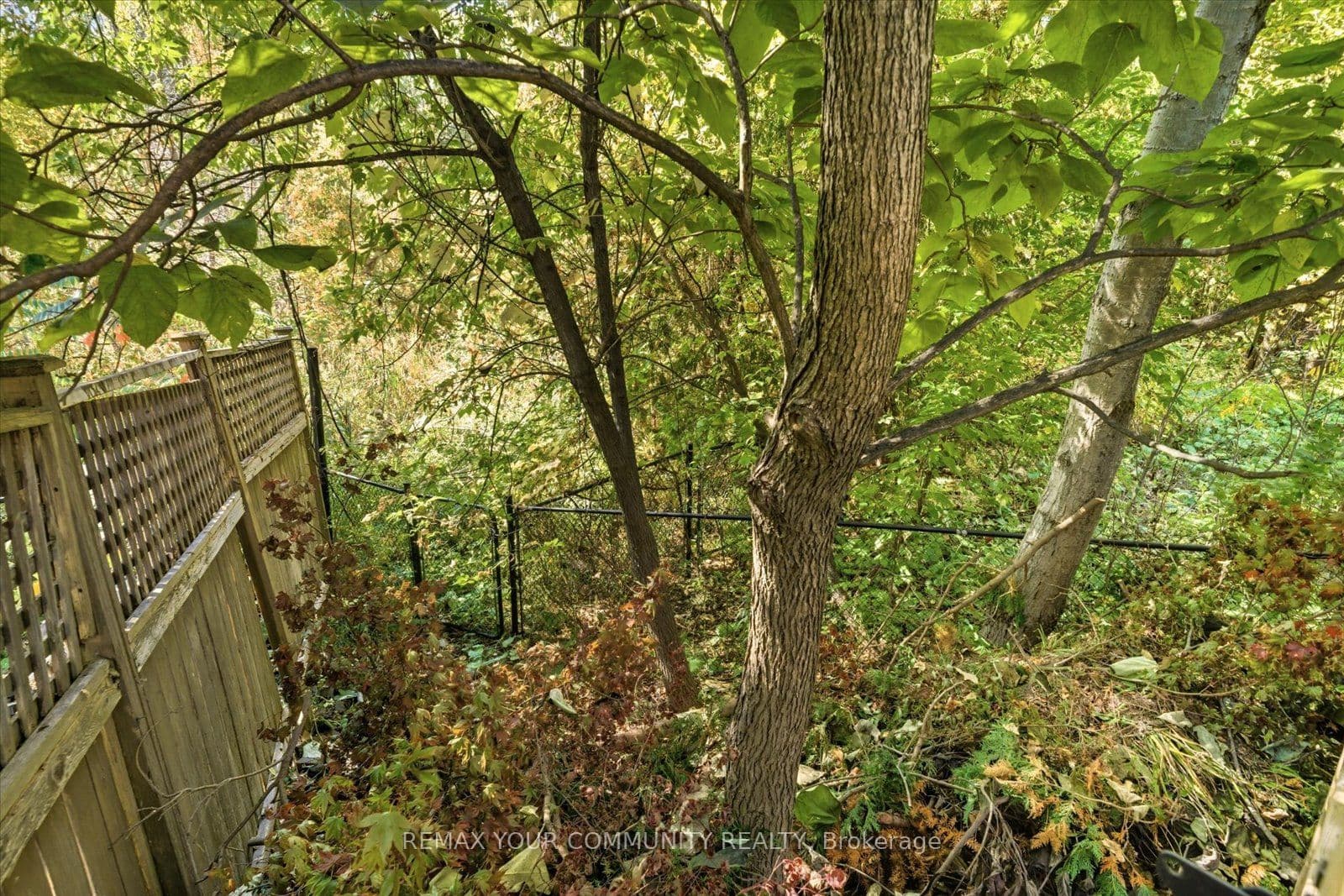 4 Marinucci Court — photo 41