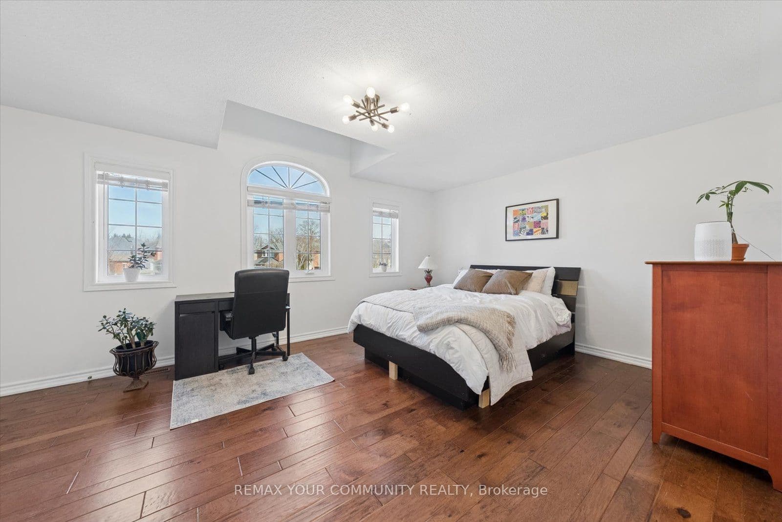 4 Marinucci Court — photo 19