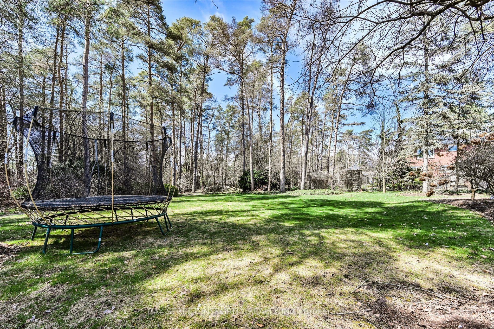133 Coon's Road — photo 36